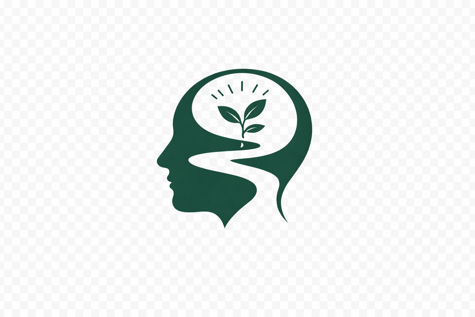 Logo Vincent Siminaro